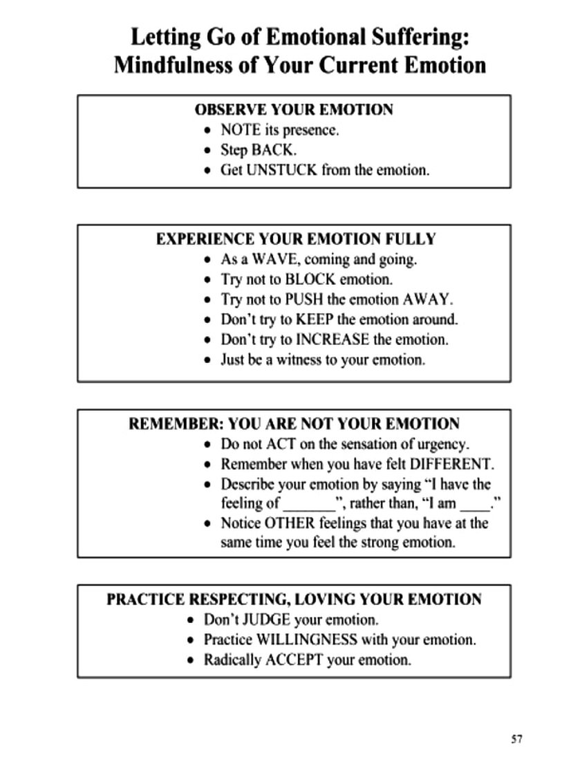 emotion regulation skills